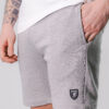 Baumwollshorts "Moovr" Grey